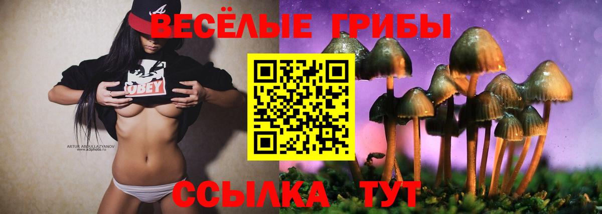 Галлюциногенные грибы Psilocybe Зеленодольск